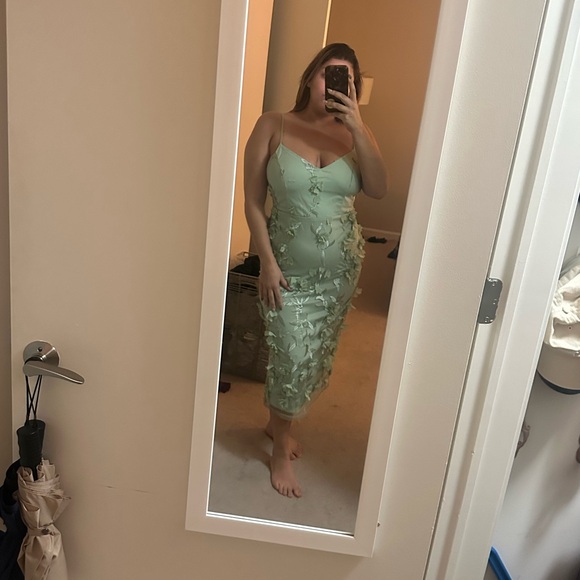 Sage Green 3D Floral Embroidered Midi Dress - Picture 4 of 7